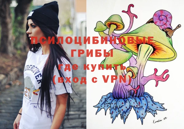 шишки Балахна
