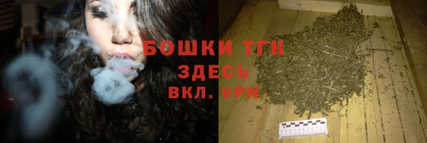 шишки Балахна