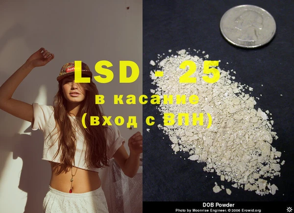 шишки Балахна