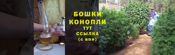 шишки Балахна