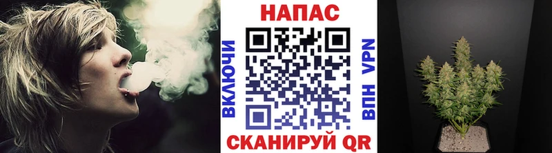 Канабис MAZAR Новая Ладога